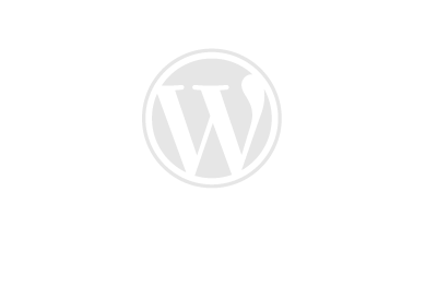expertos en wordpress